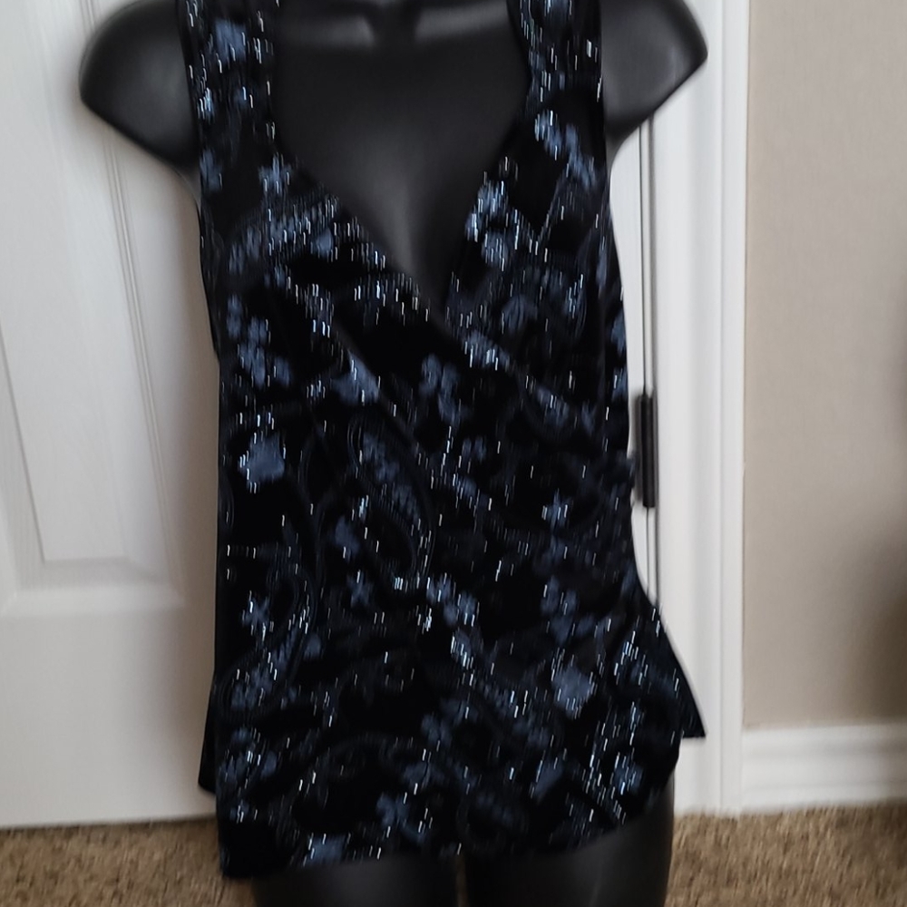 Velvet & Glitter Dressy Top